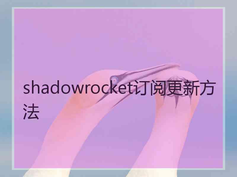 shadowrocket订阅更新方法