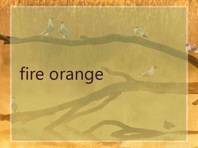 fire orange