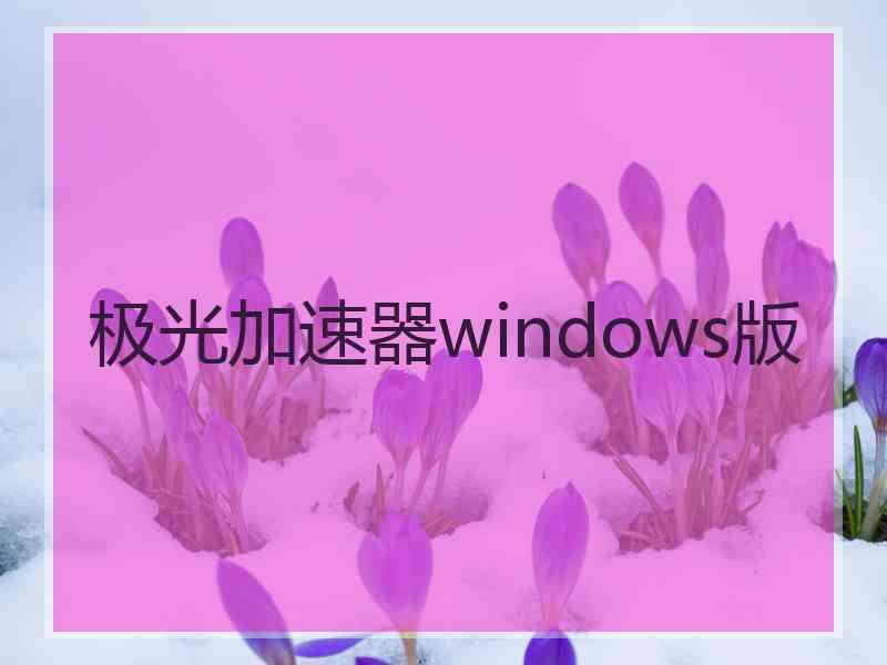 极光加速器windows版