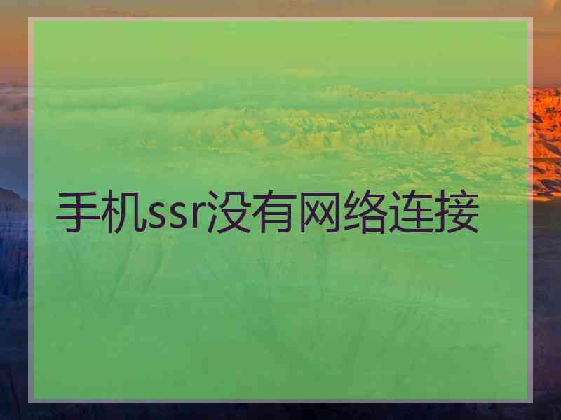 手机ssr没有网络连接