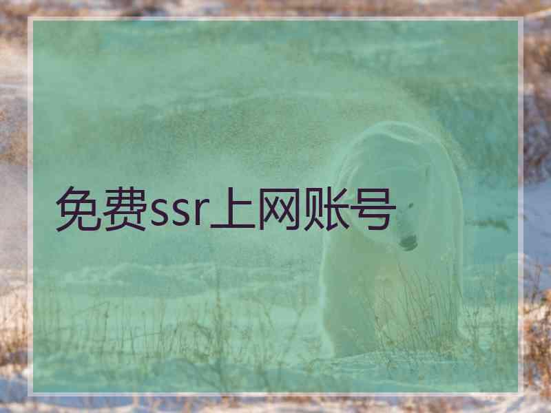 免费ssr上网账号