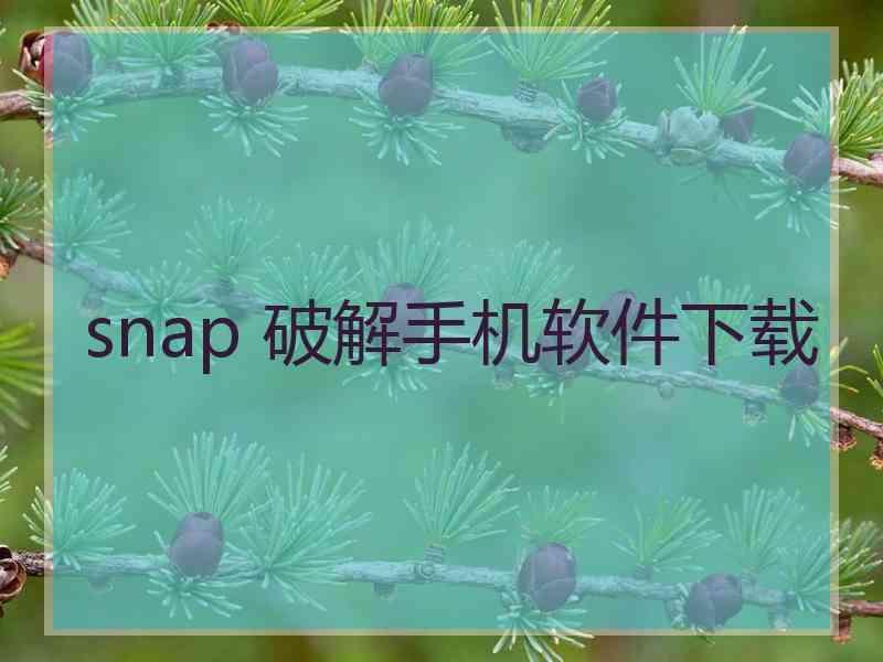 snap 破解手机软件下载