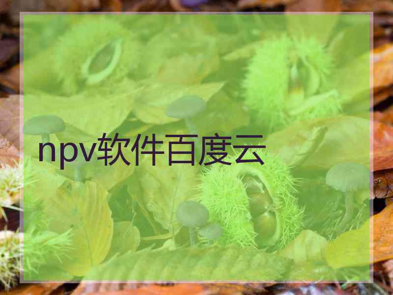 npv软件百度云