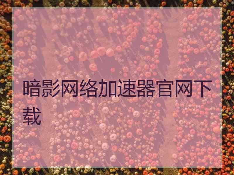 暗影网络加速器官网下载