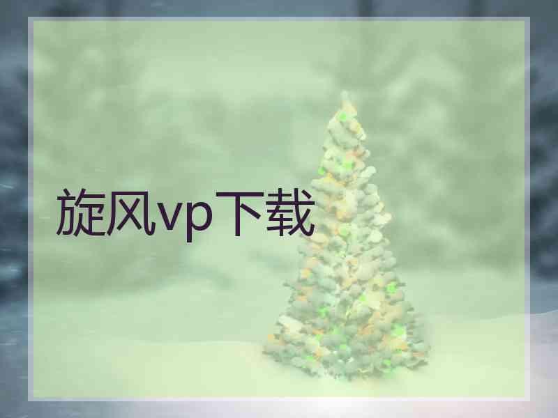 旋风vp下载