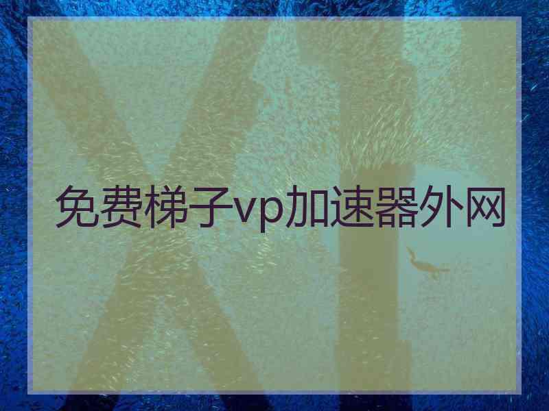 免费梯子vp加速器外网