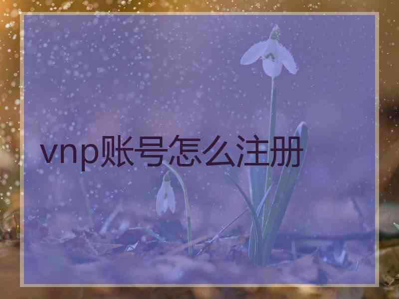 vnp账号怎么注册