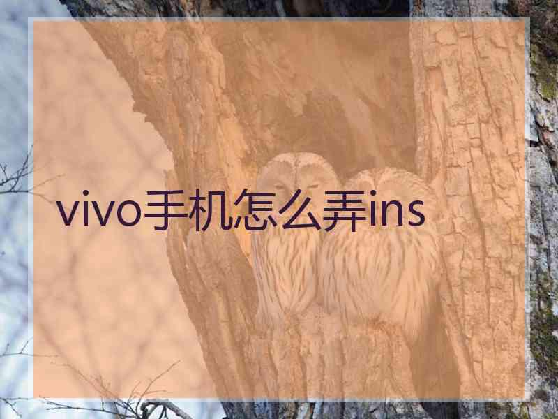 vivo手机怎么弄ins