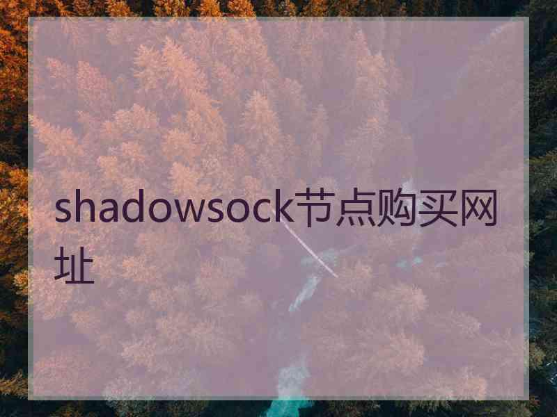 shadowsock节点购买网址