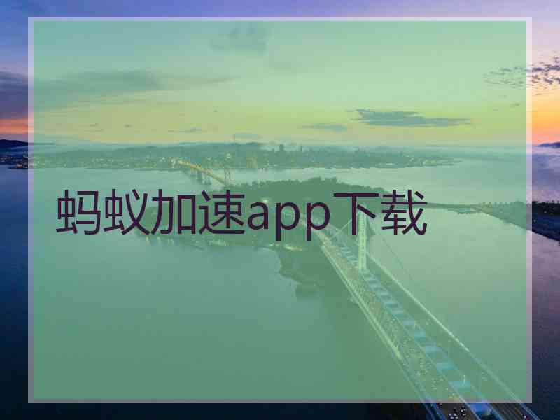 蚂蚁加速app下载