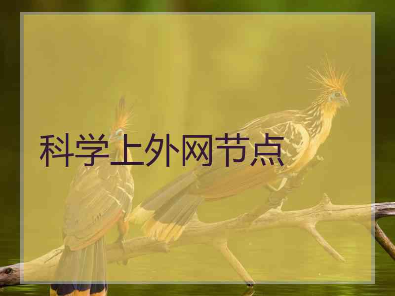 科学上外网节点