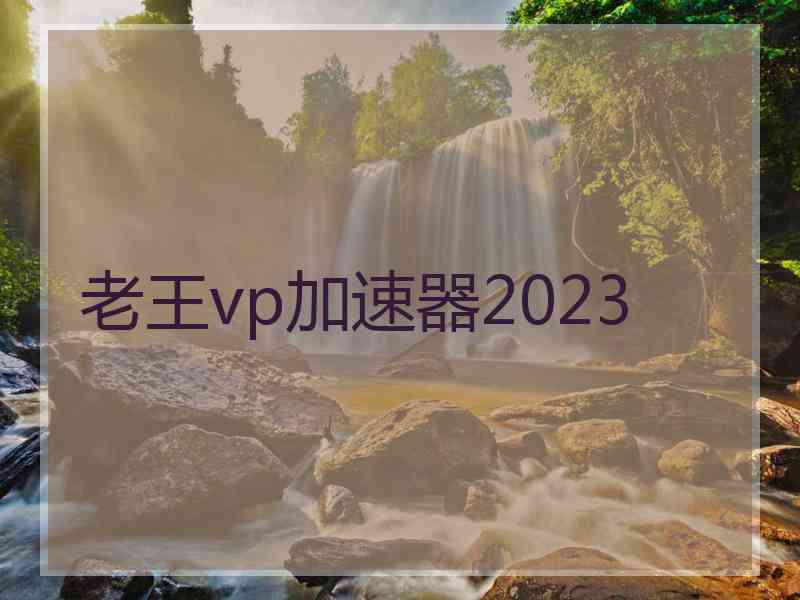 老王vp加速器2023