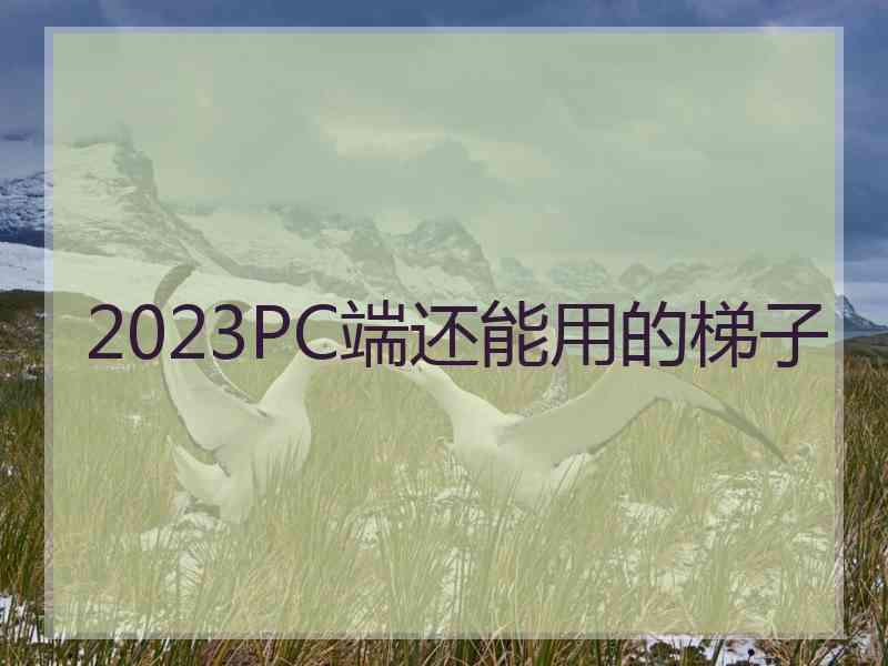 2023PC端还能用的梯子