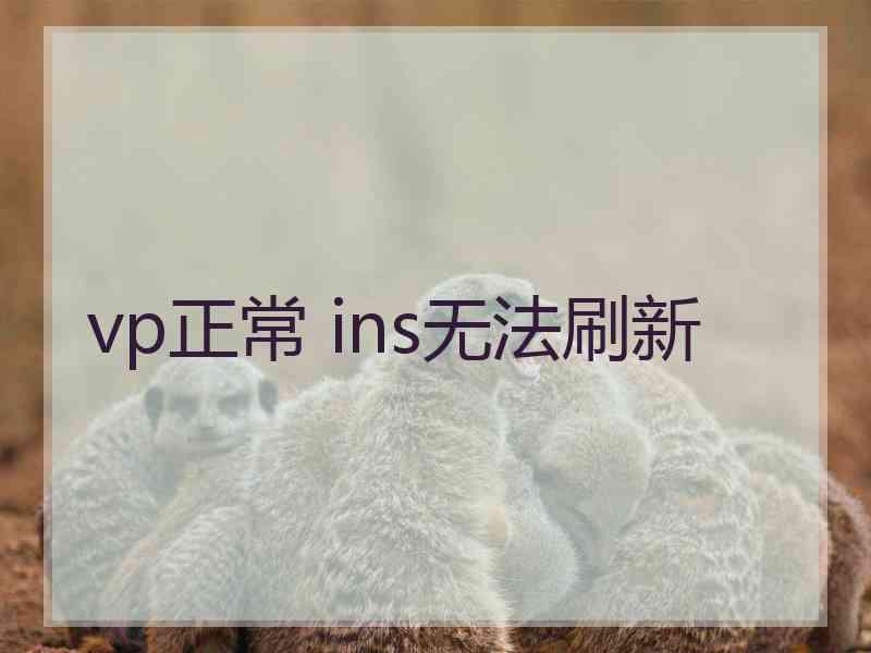 vp正常 ins无法刷新