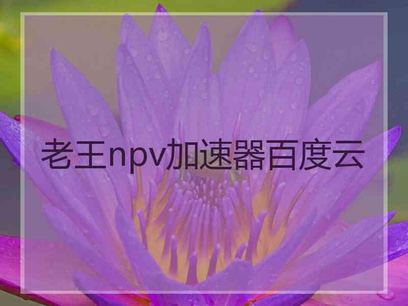 老王npv加速器百度云