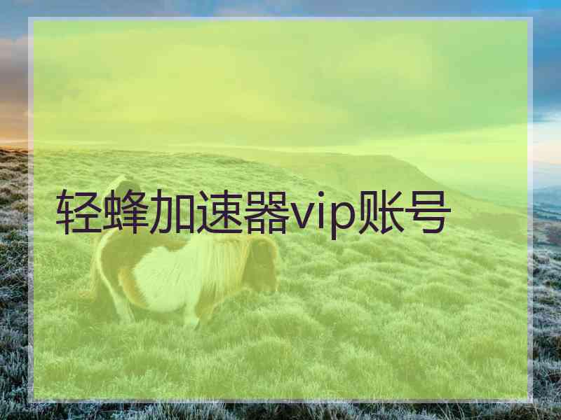 轻蜂加速器vip账号