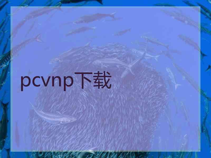 pcvnp下载