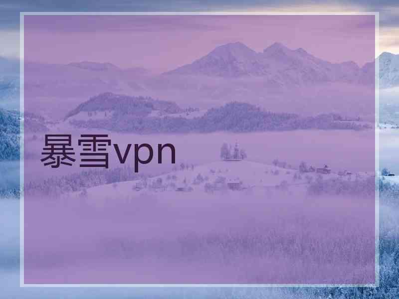 暴雪vpn