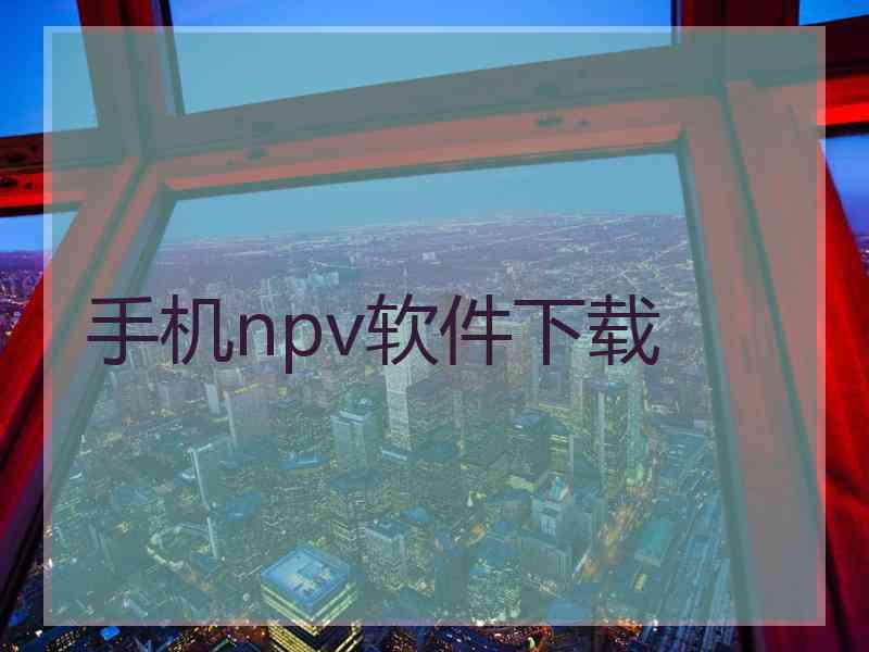 手机npv软件下载