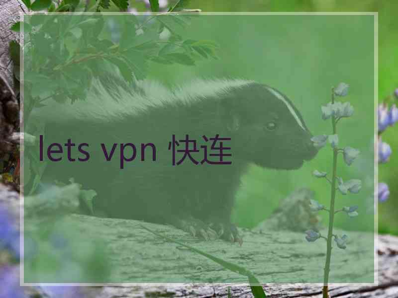 lets vpn 快连