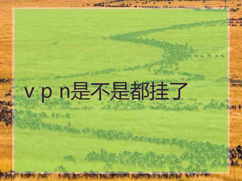 v p n是不是都挂了