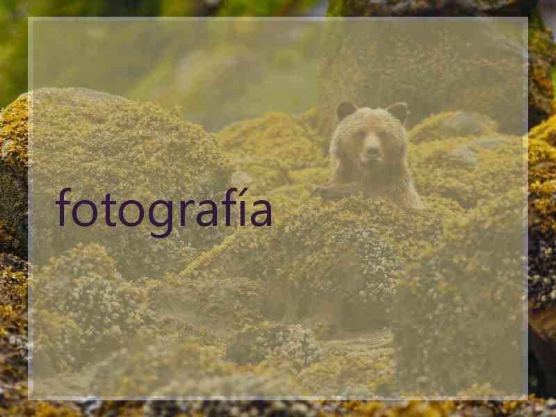 fotografía