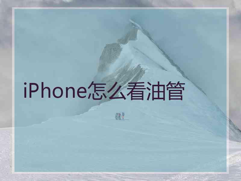 iPhone怎么看油管