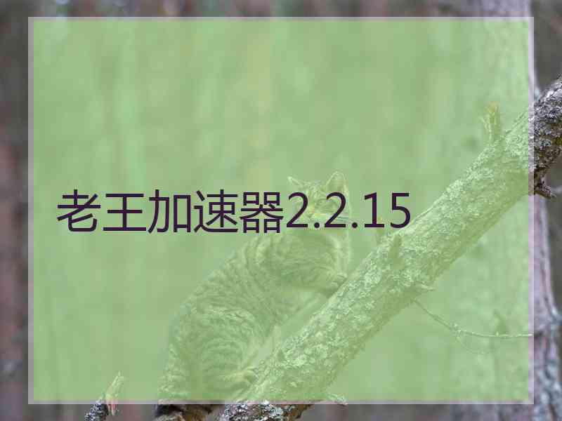 老王加速器2.2.15