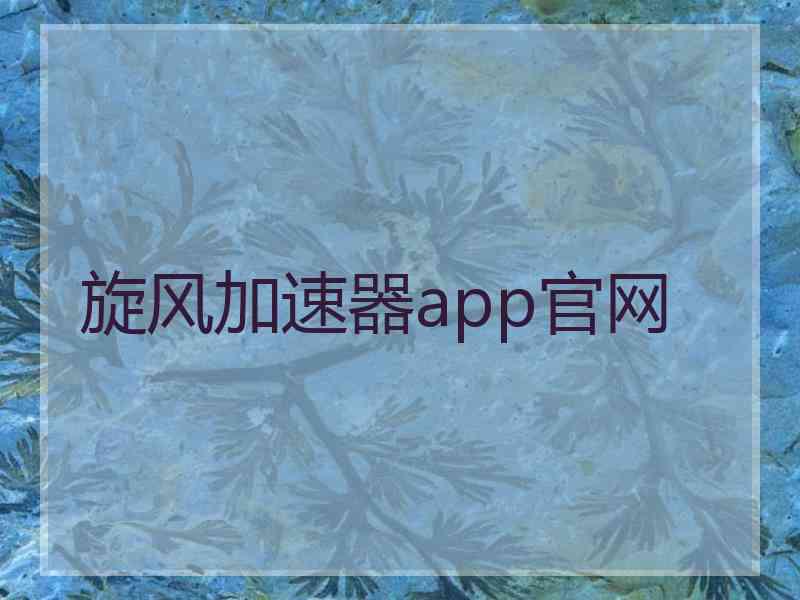 旋风加速器app官网