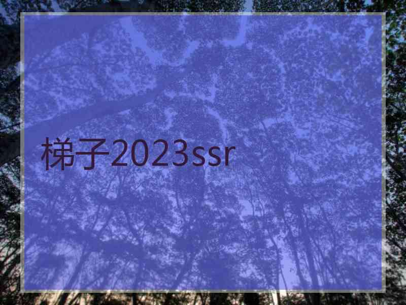 梯子2023ssr