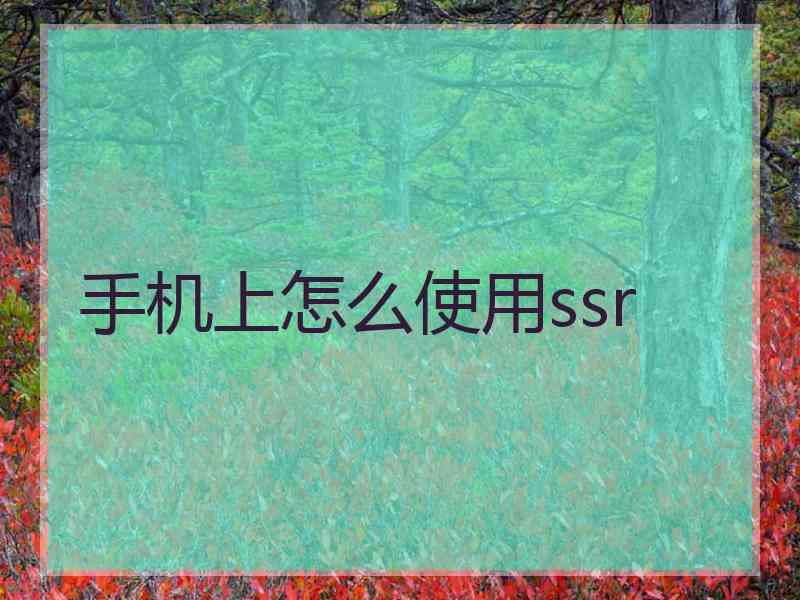 手机上怎么使用ssr