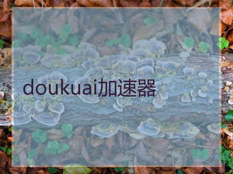 doukuai加速器