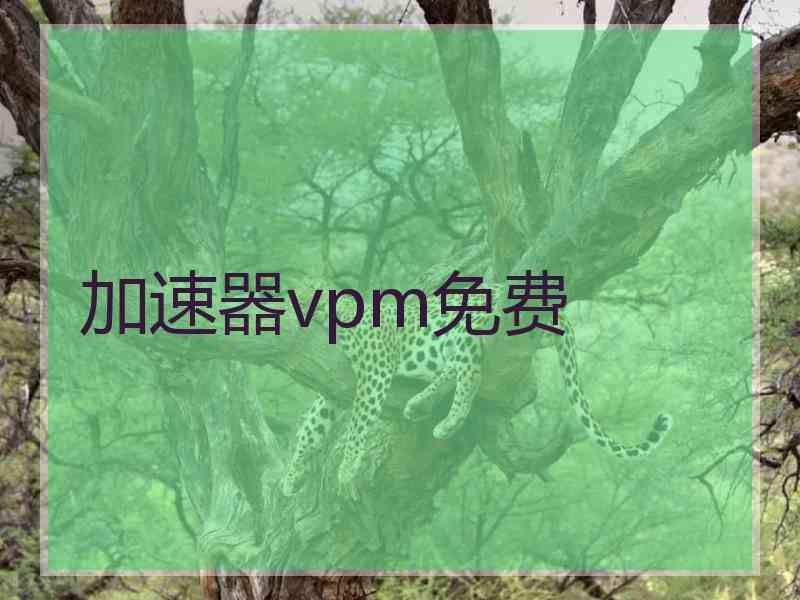 加速器vpm免费