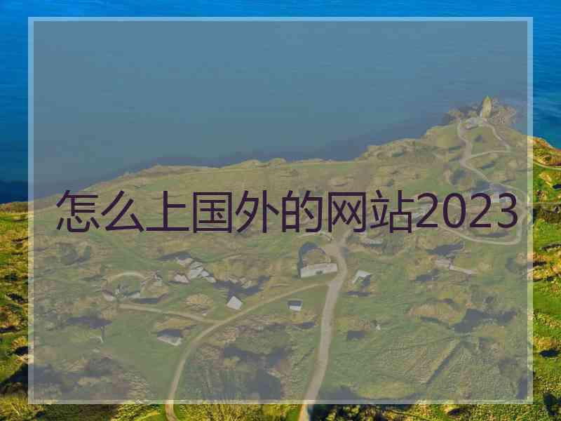 怎么上国外的网站2023