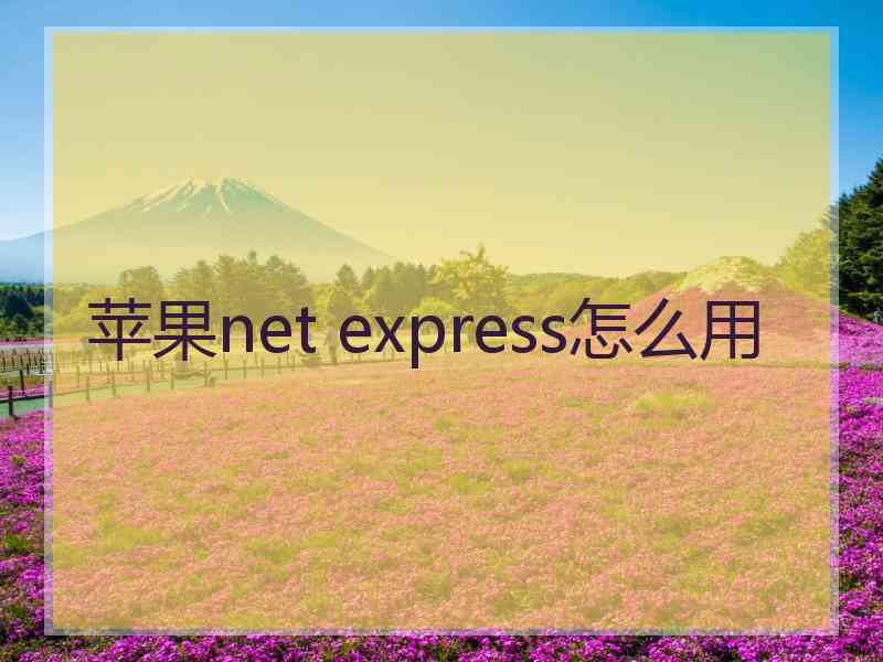 苹果net express怎么用