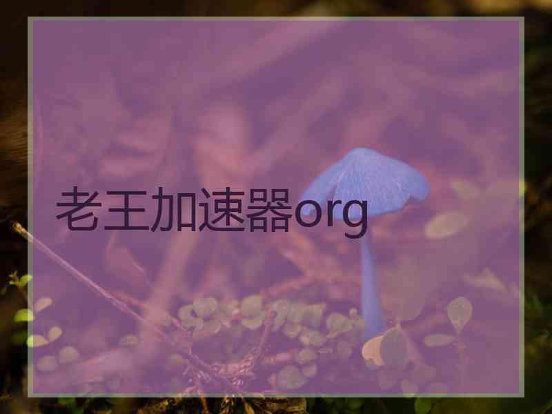 老王加速器org