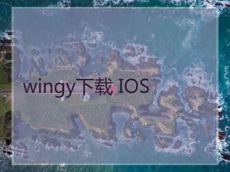 wingy下载 IOS