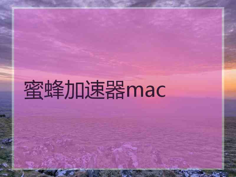 蜜蜂加速器mac