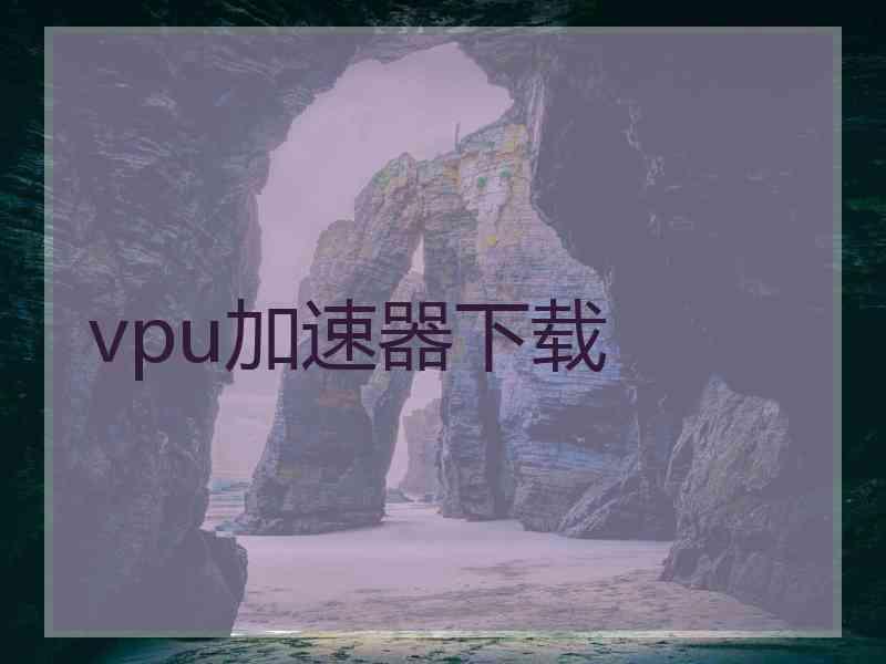 vpu加速器下载