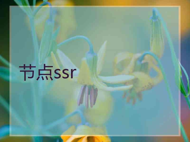 节点ssr