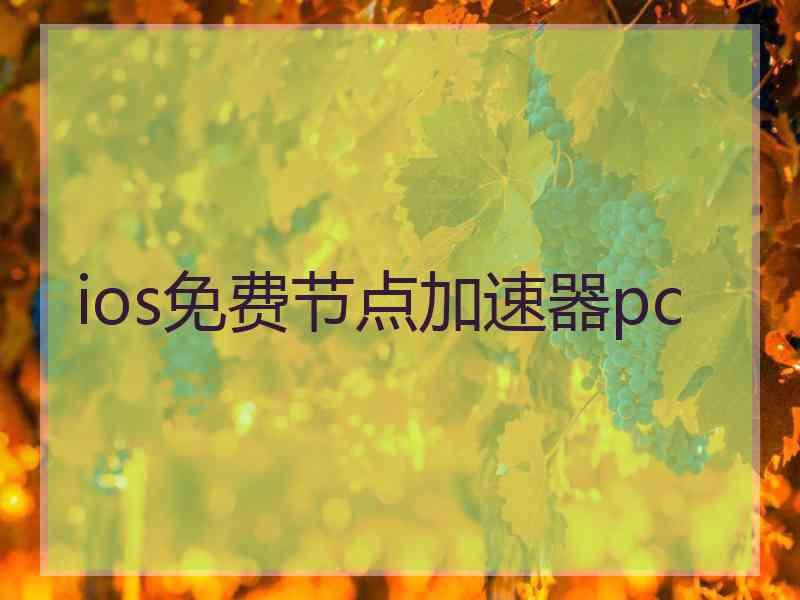 ios免费节点加速器pc