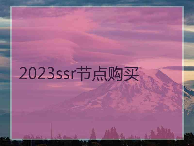 2023ssr节点购买