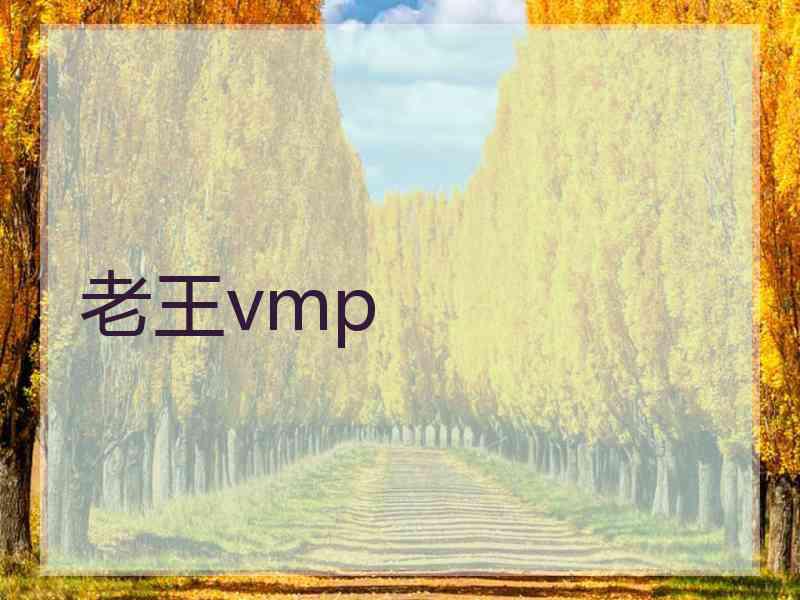 老王vmp