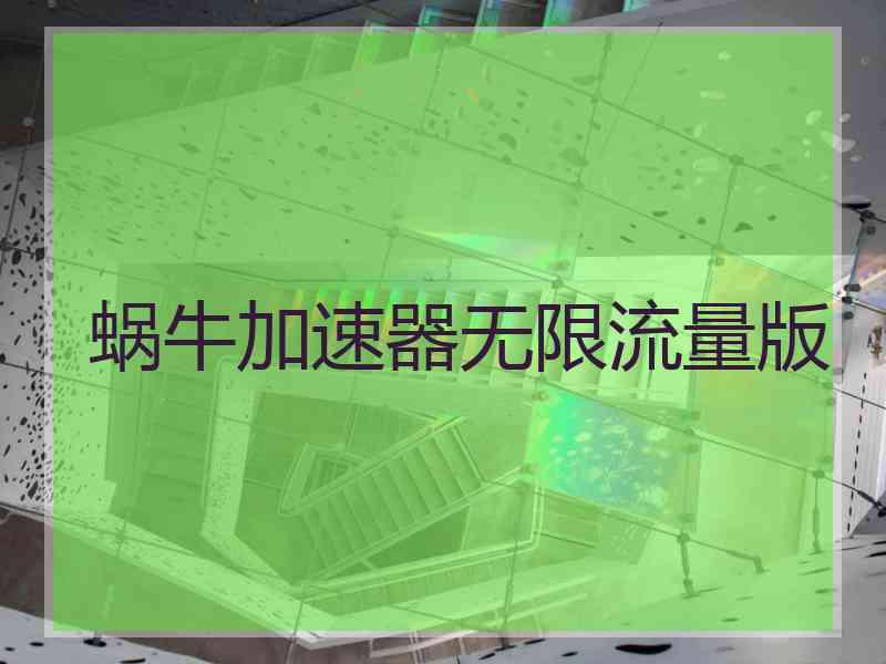 蜗牛加速器无限流量版