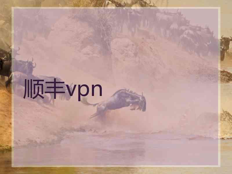 顺丰vpn