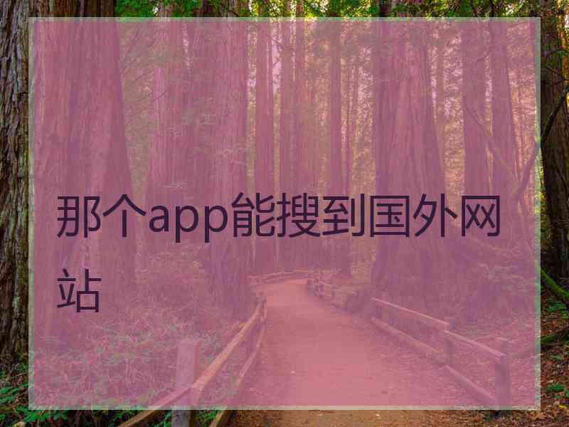 那个app能搜到国外网站