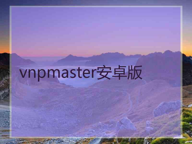 vnpmaster安卓版