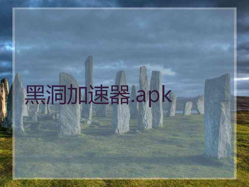 黑洞加速器.apk