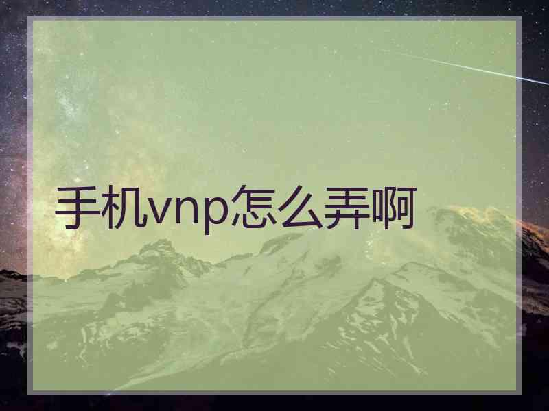 手机vnp怎么弄啊