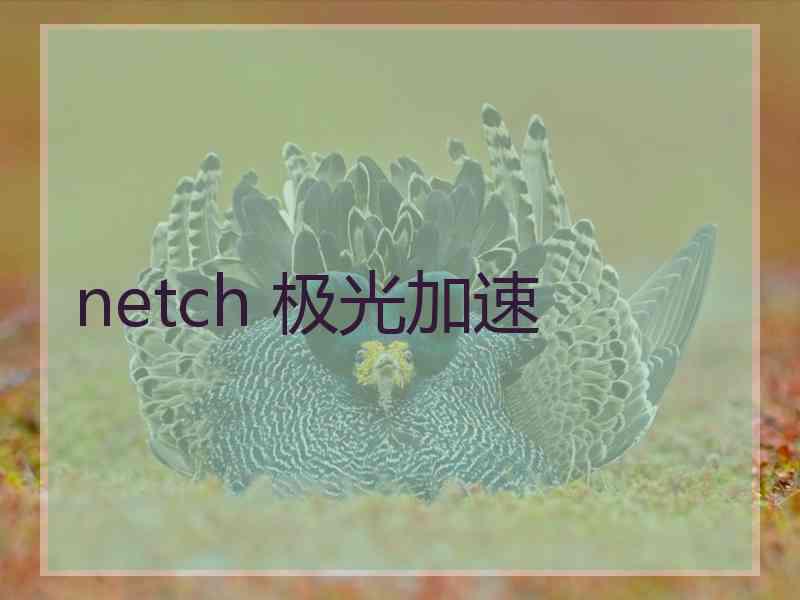 netch 极光加速